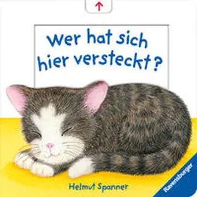 Spanner |  Wer hat sich hier versteckt? | Buch |  Sack Fachmedien