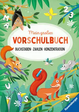 Jebautzke |  Mein großes Vorschulbuch: Buchstaben Zahlen Konzentration | Buch |  Sack Fachmedien