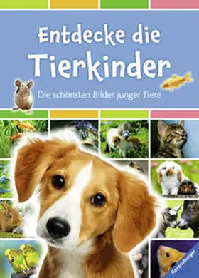Figueras / Royer |  Entdecke die Tierkinder | Buch |  Sack Fachmedien
