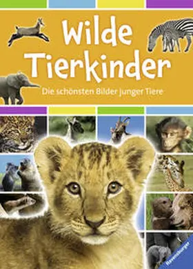 Mayo / Montardre |  Wilde Tierkinder | Buch |  Sack Fachmedien