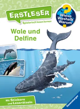 Noa |  Wieso? Weshalb? Warum? Erstleser: Wale und Delfine (Band 3) | Buch |  Sack Fachmedien