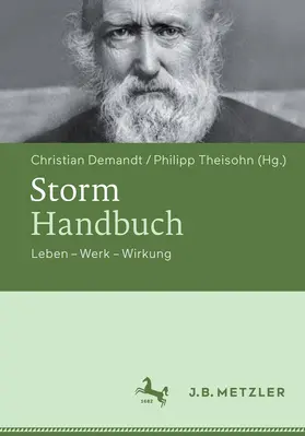 Demandt / Theisohn | Storm-Handbuch | E-Book | www2.sack.de