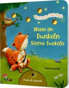 Nömer |  Mein Puste-Licht-Buch: Wenn im Dunkeln Sterne funkeln | Buch |  Sack Fachmedien