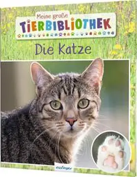 Ledu-Frattini / Frattini |  Meine große Tierbibliothek: Die Katze | Buch |  Sack Fachmedien