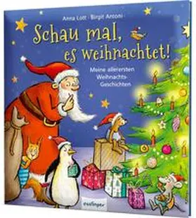 Lott |  Schau mal, es weihnachtet! | Buch |  Sack Fachmedien