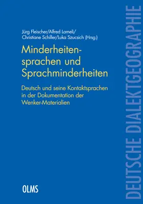 Fleischer / Lameli / Schiller |  Minderheitensprachen und Sprachminderheiten | Buch |  Sack Fachmedien