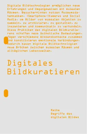 Bareither / Geis / Ullrich |  Digitales Bildkuratieren | Buch |  Sack Fachmedien