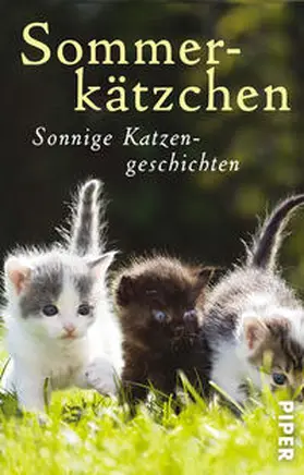 Heer |  Sommerkätzchen | Buch |  Sack Fachmedien
