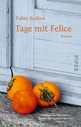 Andina |  Tage mit Felice | Buch |  Sack Fachmedien