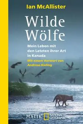 McAllister |  Wilde Wölfe | Buch |  Sack Fachmedien