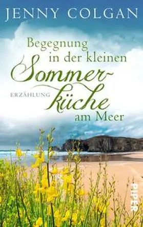 Colgan |  Begegnung in der kleinen Sommerküche am Meer | Buch |  Sack Fachmedien