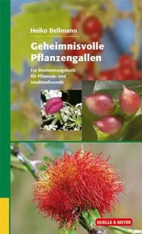 Bellmann | Geheimnisvolle Pflanzengallen | Buch | 978-3-494-01482-1 | sack.de
