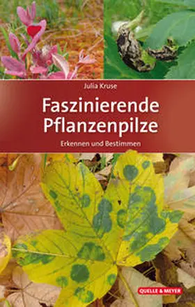 Kruse |  Faszinierende Pflanzenpilze | Buch |  Sack Fachmedien