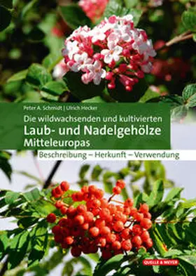 Schmidt / Hecker |  Die wildwachsenden und kultivierten Laub- und Nadelgehölze Mitteleuropas | Buch |  Sack Fachmedien