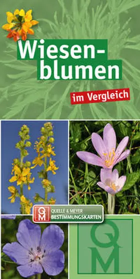 Spohn |  Wiesenblumen | Buch |  Sack Fachmedien