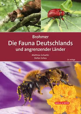 Schaefer / Scheu |  Brohmer - Die Fauna Deutschlands und angrenzender Länder | Buch |  Sack Fachmedien
