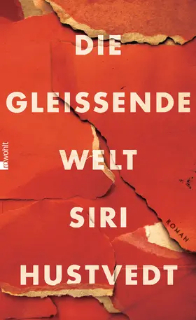 Hustvedt | Die gleißende Welt | Buch | 978-3-498-03024-7 | www2.sack.de