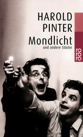 Pinter |  Mondlicht | Buch |  Sack Fachmedien