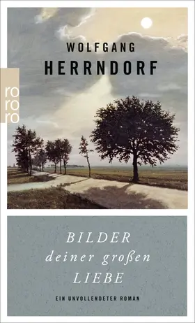 Herrndorf / Gärtner / Passig |  Bilder deiner großen Liebe | Buch |  Sack Fachmedien