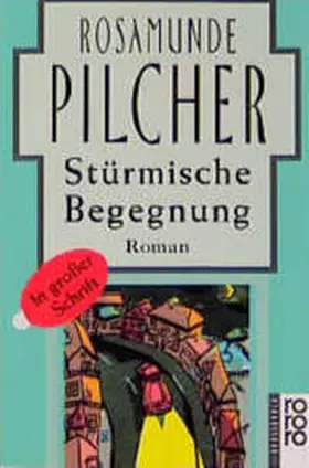 Pilcher |  Stürmische Begegnung | Buch |  Sack Fachmedien