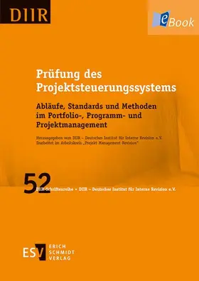 Prüfung des Projektsteuerungssystems | E-Book | sack.de