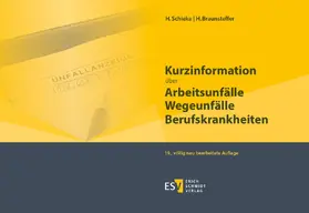 Braunsteffer / Schieke |  Kurzinformation über Arbeitsunfälle Wegeunfälle Berufskrankheiten | Buch |  Sack Fachmedien