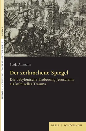 Ammann |  Der zerbrochene Spiegel | Buch |  Sack Fachmedien