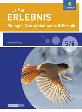 Freundner-Huneke / Möllers / Schulz |  Erlebnis Biologie 5/6. Schulbuch. Naturphänomene & Technik - Differenzierende Ausgabe. Baden-Württemberg | Buch |  Sack Fachmedien