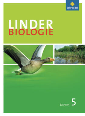 Erdmann / Jungbauer / Konopka |  LINDER Biologie 5. Schulbuch. Ausgabe für Sachsen | Buch |  Sack Fachmedien