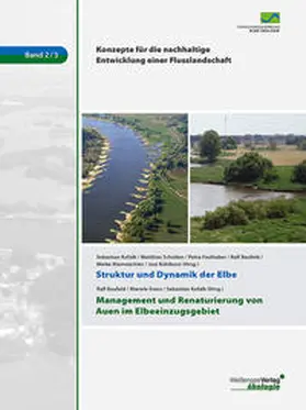 Kofalk / Scholten / Faulhaber |  Struktur und Dynamik der Elbe | Buch |  Sack Fachmedien