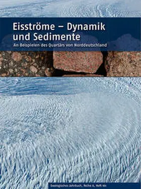 Meyer / Roland |  Eisströme - Dynamik und Sedimente | Buch |  Sack Fachmedien