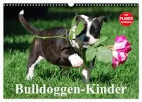 Stanzer / CALVENDO |  Bulldoggen-Kinder (Wandkalender 2026 DIN A3 quer), CALVENDO Monatskalender | Sonstiges |  Sack Fachmedien