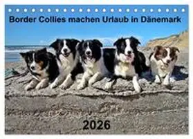 Busch / CALVENDO |  Border Collies machen Urlaub in Dänemark (Tischkalender 2026 DIN A5 quer), CALVENDO Monatskalender | Sonstiges |  Sack Fachmedien