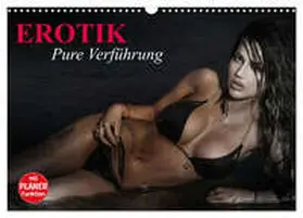 Stanzer / CALVENDO |  Erotik. Pure Verführung (Wandkalender 2026 DIN A3 quer), CALVENDO Monatskalender | Sonstiges |  Sack Fachmedien