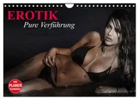 Stanzer / CALVENDO |  Erotik. Pure Verführung (Wandkalender 2026 DIN A4 quer), CALVENDO Monatskalender | Sonstiges |  Sack Fachmedien