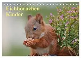 Meier / CALVENDO |  Eichhörnchen Kinder (Tischkalender 2026 DIN A5 quer), CALVENDO Monatskalender | Sonstiges |  Sack Fachmedien