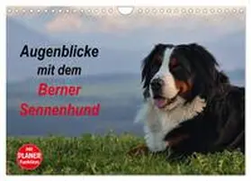 Hunscheidt / CALVENDO |  Augenblicke mit dem Berner Sennenhund (Wandkalender 2026 DIN A4 quer), CALVENDO Monatskalender | Sonstiges |  Sack Fachmedien