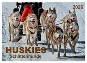 Roder / CALVENDO |  Huskies - Schlittenhunde (Wandkalender 2026 DIN A2 quer), CALVENDO Monatskalender | Sonstiges |  Sack Fachmedien