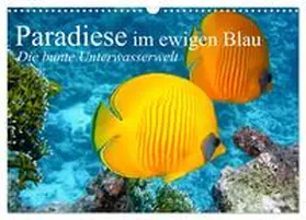 Stanzer / CALVENDO |  Paradiese im ewigen Blau. Die bunte Unterwasserwelt (Wandkalender 2026 DIN A3 quer), CALVENDO Monatskalender | Sonstiges |  Sack Fachmedien