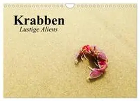 Stanzer / CALVENDO |  Krabben. Lustige Aliens (Wandkalender 2026 DIN A4 quer), CALVENDO Monatskalender | Sonstiges |  Sack Fachmedien