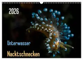 Weber-Gebert / CALVENDO |  Unterwasser - Nacktschnecken 2026 (Wandkalender 2026 DIN A3 quer), CALVENDO Monatskalender | Sonstiges |  Sack Fachmedien