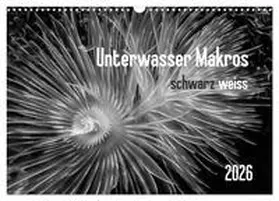 Weber-Gebert / CALVENDO |  Unterwasser Makros - schwarz weiss 2026 (Wandkalender 2026 DIN A3 quer), CALVENDO Monatskalender | Sonstiges |  Sack Fachmedien