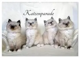 Chrystal / CALVENDO |  Katzenparade (Wandkalender 2026 DIN A2 quer), CALVENDO Monatskalender | Sonstiges |  Sack Fachmedien