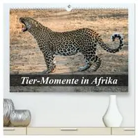 Janssen / CALVENDO |  Tier-Momente in Afrika (hochwertiger Premium Wandkalender 2026 DIN A2 quer), Kunstdruck in Hochglanz | Sonstiges |  Sack Fachmedien