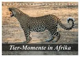 Janssen / CALVENDO |  Tier-Momente in Afrika (Tischkalender 2026 DIN A5 quer), CALVENDO Monatskalender | Sonstiges |  Sack Fachmedien