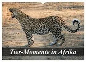 Janssen / CALVENDO |  Tier-Momente in Afrika (Wandkalender 2026 DIN A3 quer), CALVENDO Monatskalender | Sonstiges |  Sack Fachmedien