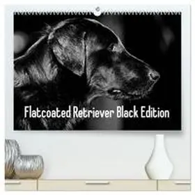 Müller / CALVENDO |  Flatcoated Retriever Black Edition (hochwertiger Premium Wandkalender 2026 DIN A2 quer), Kunstdruck in Hochglanz | Sonstiges |  Sack Fachmedien
