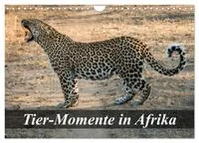 Janssen / CALVENDO |  Tier-Momente in Afrika (Wandkalender 2026 DIN A4 quer), CALVENDO Monatskalender | Sonstiges |  Sack Fachmedien