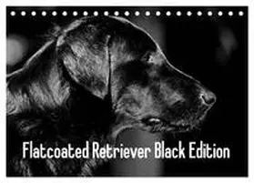 Müller / CALVENDO |  Flatcoated Retriever Black Edition (Tischkalender 2026 DIN A5 quer), CALVENDO Monatskalender | Sonstiges |  Sack Fachmedien