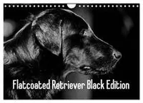 Müller / CALVENDO |  Flatcoated Retriever Black Edition (Wandkalender 2026 DIN A4 quer), CALVENDO Monatskalender | Sonstiges |  Sack Fachmedien